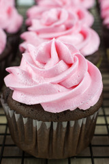 Chocolate Cupcakes with pink icing
