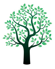 Vector tree and green leafs.