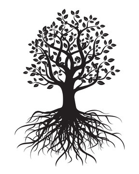 Vector tree with roots and leafs.