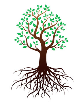 Vector tree with green roots and leafs.