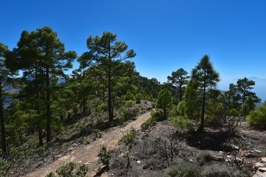 Gran Canaria - Parque Nacional de Tamadaba