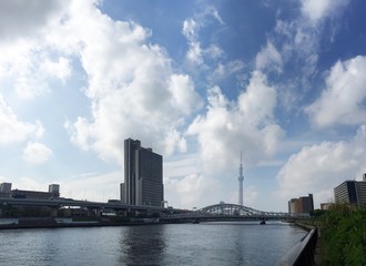 Naklejka premium skytree