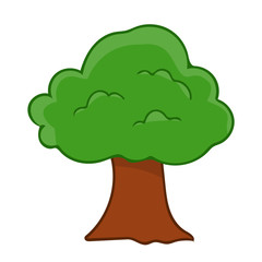 tree isolated illustration