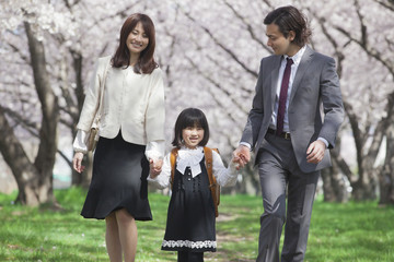 桜並木を歩く家族