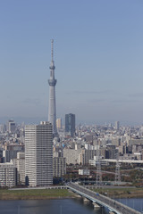 Tokyo city, Japan