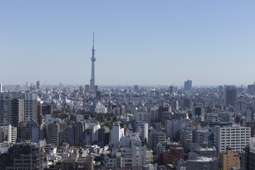 Fototapeta na wymiar Tokyo city, Japan