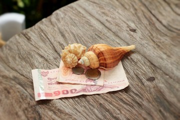 Fototapeta na wymiar Shell banknotes and coins on the background of wood.