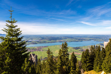 Green fields next to Neuschwanstein
