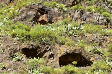 Gran Canaria - Parque Nacional de Tamadaba