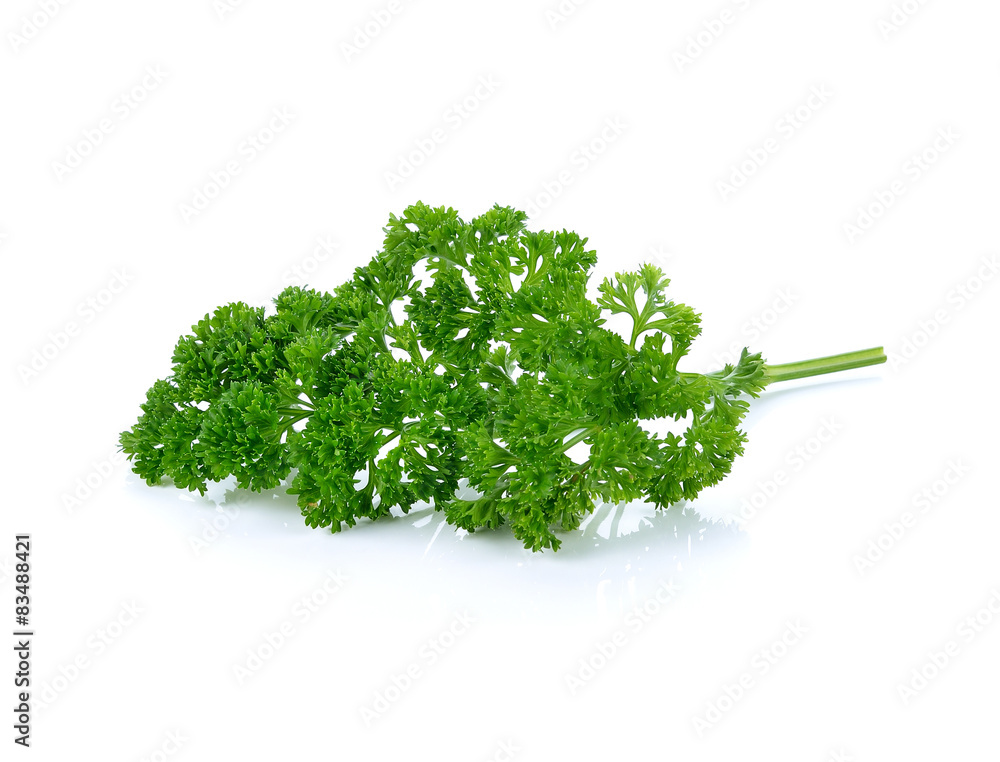 Wall mural parsley isolated on a white background