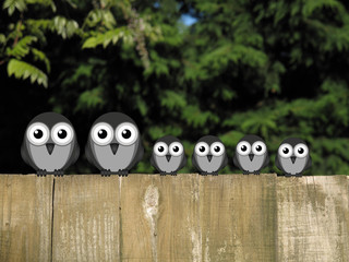 Obraz premium Family of birds