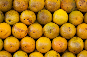 Fresh Oranges for Sale at the Market in Rio de Janeiro