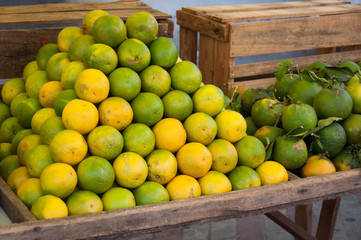 Fresh Oranges for Sale at the Market in Rio de Janeiro