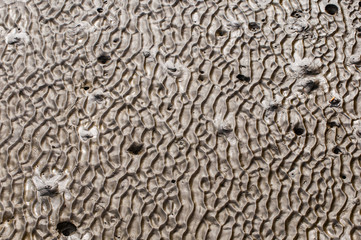 At low tide looking abstract patterns of sand.