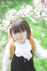 Obraz premium 桜並木に立つ女の子