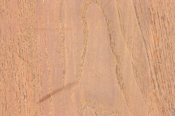 pattern of teak wood.