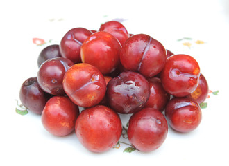 plum