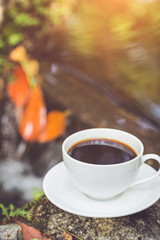 White coffee cup in the park