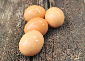 egg on wood background