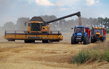 Field and harvester