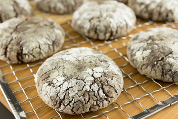 chocolate cookies