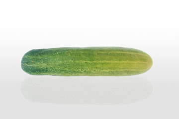 Fresh cucumber