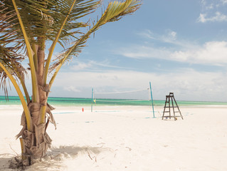 Fototapeta na wymiar Palm tree, beach volei and lifeguard chair
