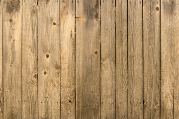 Fototapeta premium Wood texture