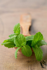 fresh mint leaves on wooden surface
