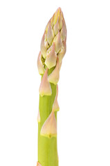 Asparagus isolated on white background
