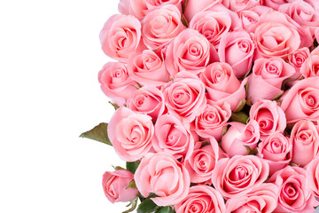 pink rose flower bouquet on white background