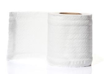 roll of toilet paper