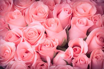 Papier Peint photo autocollant Roses fond vintage de bouquet de fleurs rose rose