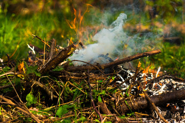 Campfire on green meadow