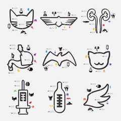 veterinary infographic