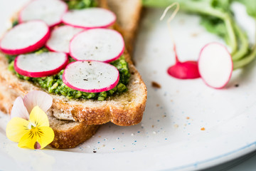 Vegan sandwich with wild garlic pesto and radish 