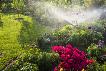Bewässerung im Blumengarten  