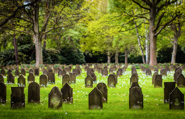 War graves. Ohlsdorf cemetery, Hamburg, Germany