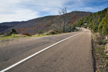 Sierra de San Vicente. El Real de San Vicente. Toledo