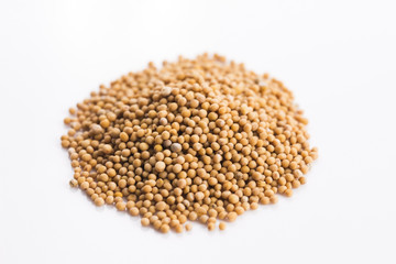 Yellow mustard seeds isolated