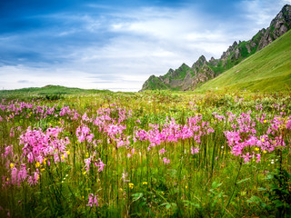 Obraz premium Norway nature