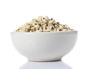 Millet on white background