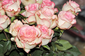pink roses bouquet