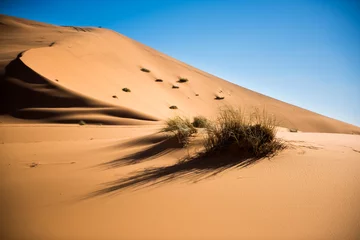 Fototapeten Sanddünen der Sahara © luisapuccini