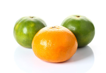 Orange isolated on white background