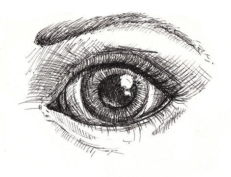 Black and white drawing of eye