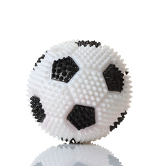 ball toy for dog  isolate on white
