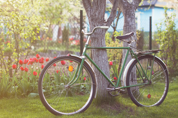 Fototapeta na wymiar USSR retro bicycle in spring garden