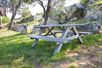 Picnic table in a Tuscany pinewood (Italy)