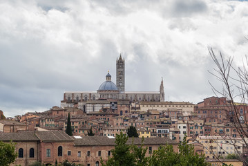 Fototapeta na wymiar view of Siena, Italy